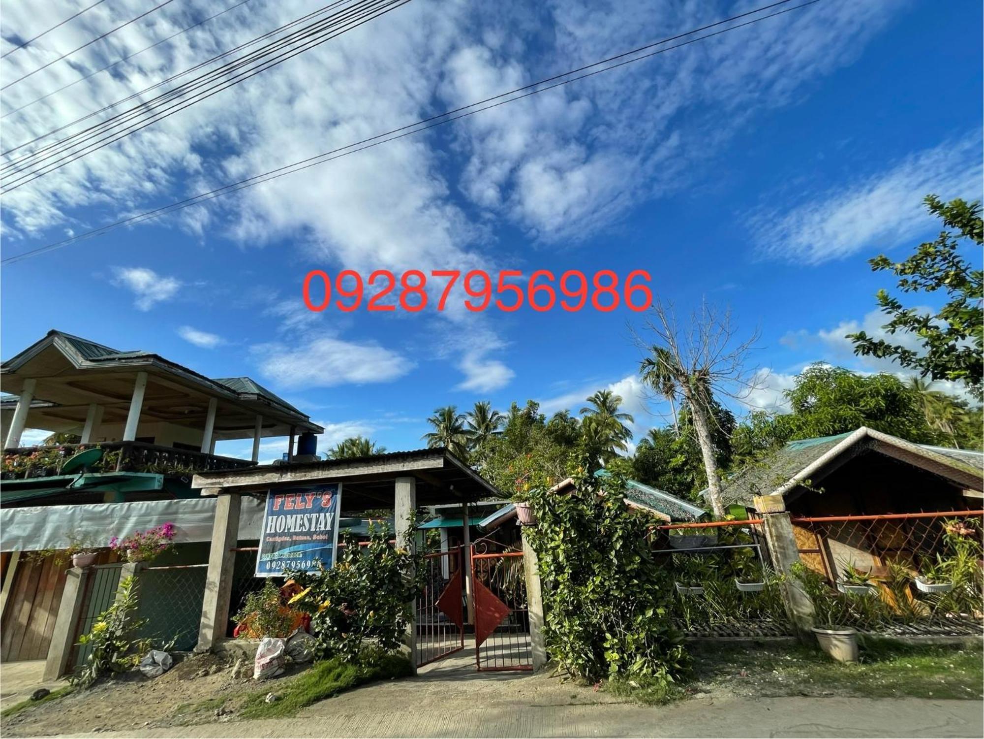 Fely'S Homestay Batuan Exteriér fotografie